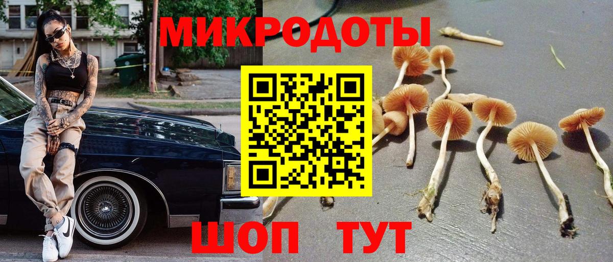 Псилоцибиновые грибы прущие грибы  Галлюциногенные грибы Psilocybine cubensis  Малоярославец  Вход с VPN 